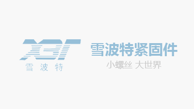 Ningbo Xuebote Fastener Co., Ltd. website design has been completed